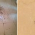 «سوير الليل» يعود للظهور من جديد