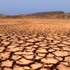 «أكساد» يحذر من مخاطر الجفاف على الوطن العربي