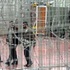 المعارضة تطالب بالتحرك لنصرة الاسرى في السجون الاسرائيلية