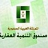 صندوق التنمية العقاري يطالب بآلية لسداد قروض العاجزين صندوق التنمية العقاري يطالب بآلية لسداد قروض العاجزين