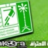 تقرير لجنة الاحتراف: 363 محترفًا في دوري زين بينهم 56 أجنبيًا