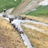 11 ألف سوري يلجأون الى الاردن خلال الايام الثلاثة الماضية