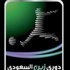 كرة القدم - الدوري السعودي - رعاية الدوري السعودي أقل من الإسباني بمليون دولار كرة القدم - الدوري السعودي - رعاية الدوري السعودي أقل من الإسباني بمليون دولار