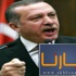 اردوغان : لا يمكن اعتبار الإساءة للنبي حرية تعبير