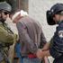 الاحتلال يعتقل 24 فلسطينيًا في الضفة الغربية والقدس الاحتلال يعتقل 24 فلسطينيًا في الضفة الغربية والقدس