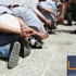 القبض على 12شخصًا لاستيلائهم على قطعة أرض بالعمرانية