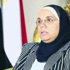 مساعد الرئيس: لا بديل عن بناء مؤسسات الدولة
