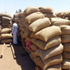أصحاب مطاحن القمح بغزة: الدقيق المصري المهرب للقطاع تسبب في تخفيض العمالة أصحاب مطاحن القمح بغزة: الدقيق المصري المهرب للقطاع تسبب في تخفيض العمالة
