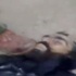 فيديو / شياطين جيش بشار يمثلون بجثث قتلى سوريين