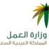العمل تطبق الحد الأدنى للأجور السبت المقبل العمل تطبق الحد الأدنى للأجور السبت المقبل
