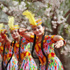 مهرجان رقص بشينجيانغ يعكس ثراء التراث المحلي (خاص)