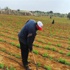 الزراعة: شركاء التنمية يتفقون على استصلاح ٤ مليون فدان