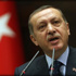 أردوغان يصل إلى المغرب في زيارة رسمية أردوغان يصل إلى المغرب في زيارة رسمية