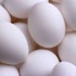 البيض يحمي الرجال من السكري