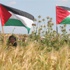 الوطن العمانية: الهوس الاستيطاني يزداد شراسة ويقضي على فلسطين