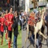 ثوار مصر يصفون "معركة" بورسعيد بموقعة "جمل" جديدة ثوار مصر يصفون "معركة" بورسعيد بموقعة "جمل" جديدة