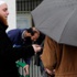 بريد DW: الحل ليس بترحيل السلفيين المتشددين من ألمانيا