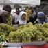 مع دخول التهدئة الى حيز التنفيذ: فلسطينيو غزة يسارعون للبحث عن قطرة ماء ولقمة طعام