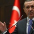 أردوغان: مجلس الأمن الدولي هو مكان مثالي للتفاوض مع إسرائيل حول عمليتها العسكرية في غزة