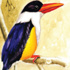 استعراض استعراض
