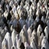 الدول الاسلامية توافق على اعلان "تاريخي" للامم المتحدة حول المرأة الدول الاسلامية توافق على اعلان "تاريخي" للامم المتحدة حول المرأة