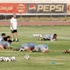 «المعلم» يبعد «الصقر» عن المران الصباحي بسبب «هزاره» مع «فتح الله»