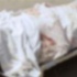 جثة «عربي» في شرق