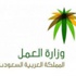 العمل تعلن عن عدد طلبات تصحيح الأوضاع خلال أسابيع العمل تعلن عن عدد طلبات تصحيح الأوضاع خلال أسابيع