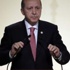 إردوغان: تركيا منفتحة على مشروعات تخزين الغاز المسال مع قطر
