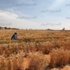 السيطرة على حريق التهم 6 أفدنة قمح بالبحيرة السيطرة على حريق التهم 6 أفدنة قمح بالبحيرة