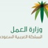 العمل : تعلن آلية تصحيح العمالة الفردية وتغيير المهنة خلال أسبوعين العمل : تعلن آلية تصحيح العمالة الفردية وتغيير المهنة خلال أسبوعين