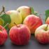 اكتشاف فوائد مذهلة لتناول التفاح