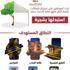 منع مظلات المركبات.. استبدلها بشجرة منع مظلات المركبات.. استبدلها بشجرة