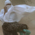 عاصفة عاصفة