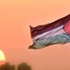 تزايد عدد الشهداء والجرحى والمعتقلين الفلسطينيين ؛ وتزايد حدة المضايقات، في المخيمات الفلسطينية بسورية تزايد عدد الشهداء والجرحى والمعتقلين الفلسطينيين ؛ وتزايد حدة المضايقات، في المخيمات الفلسطينية بسورية
