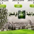 حملة زراعة مليون شجرة في فلسطين