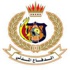 الدفاع المدني : تعامل مع أكثر من 8860 بلاغ العام الماضي