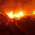 الدفاع المدنى يسيطر على حريق نخيل بحى السبط بالوادى الجديد الدفاع المدنى يسيطر على حريق نخيل بحى السبط بالوادى الجديد