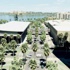 خطة استراتيجية لتنمية الجبيل الصناعية حتى 2034 خطة استراتيجية لتنمية الجبيل الصناعية حتى 2034