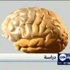 دراسة تجد رابطاً وراثياً بين الصرع والصداع النصفي دراسة تجد رابطاً وراثياً بين الصرع والصداع النصفي