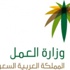 العمل: 451 ألف عامل استفادوا من المهلة التصحيحية العمل: 451 ألف عامل استفادوا من المهلة التصحيحية