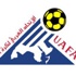 النصر يشارك في البطولة العربية النصر يشارك في البطولة العربية