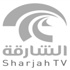 تلفزيون الشارقة يواكب الحركة الثقافية في الإمارة