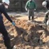 "الدولة" يرتكب مجزرة بالرقة وقصف بريف حلب