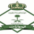الجوازات: العمالة المنزلية الهاربة لن يشملها التصحيح الجوازات: العمالة المنزلية الهاربة لن يشملها التصحيح