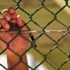 البرغوثي لـ "السياسة": تصاعد قضية الأسرى الفلسطينيين مؤشر على انطلاق انتفاضة ثالثة البرغوثي لـ "السياسة": تصاعد قضية الأسرى الفلسطينيين مؤشر على انطلاق انتفاضة ثالثة