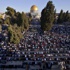 6 و7 حزيران موعداً للتضامن الدولي مع فلسطين