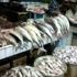 أسعار السمك في سوق العبور اليوم