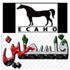 اختتام الجولة السادسة لسباقات السرعة للخيول العربية الايلة في اريحا
