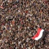 الثورة مستمرة داخل الشخصية المصرية حتى تحقق هدفها ''المنشود'' الثورة مستمرة داخل الشخصية المصرية حتى تحقق هدفها ''المنشود''